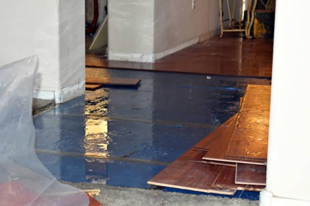 Professional Basement Flooding technician working in Plano, KY